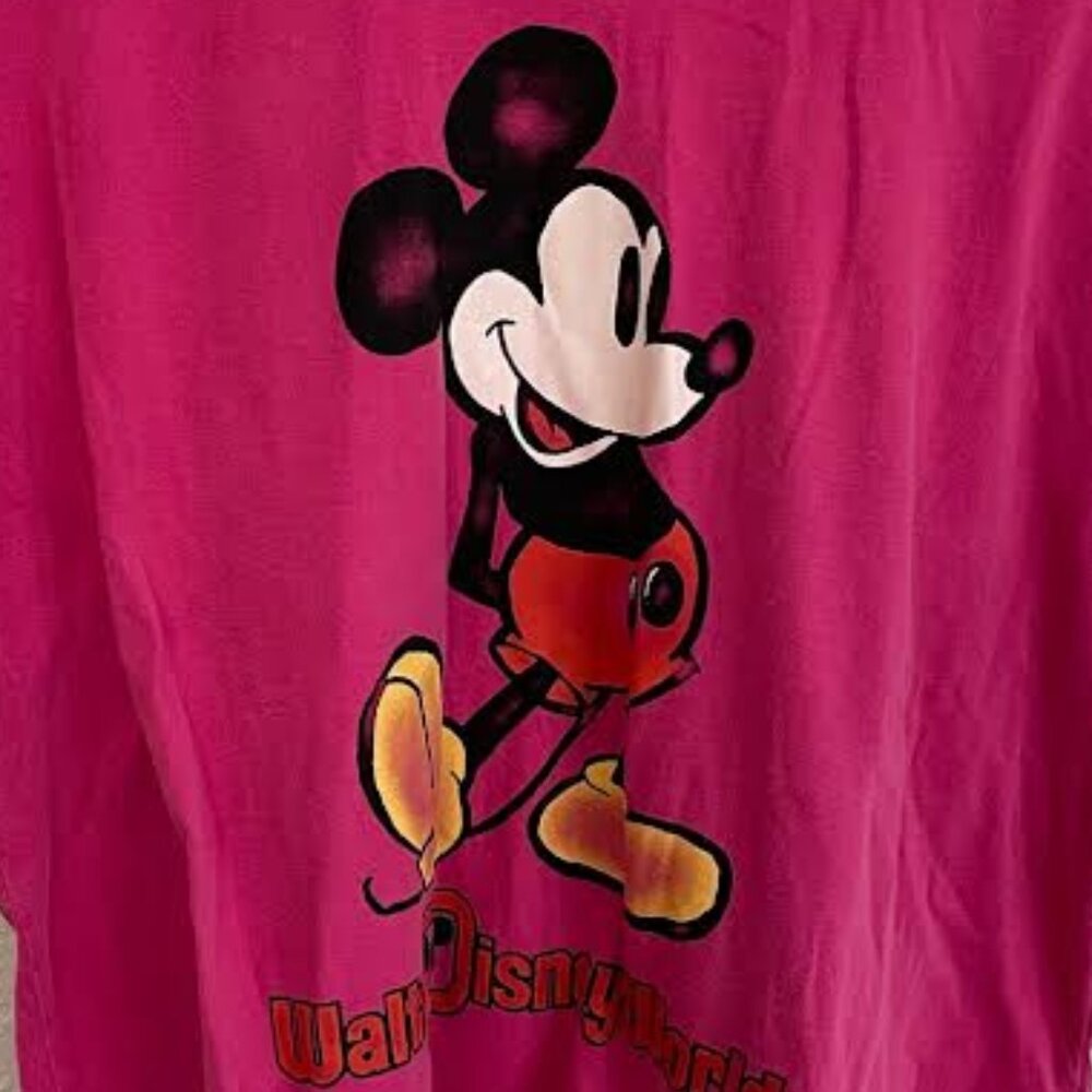 NWT Walt Disney World (Disney Parks)